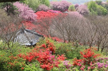Jeonju’s Flowering Wansan Park Emerges as New Tourist Hotspot
