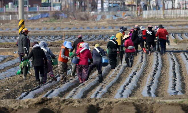 Number of Farming Households in South Korea Dips Below One Million for First Time