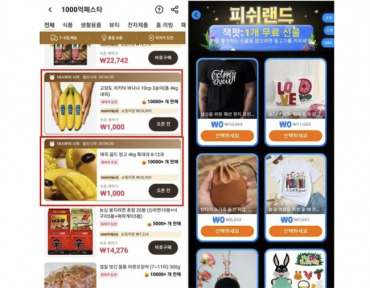 Korean Consumers Alarmed Over Carcinogen Findings in Products from Chinese E-Commerce Platforms