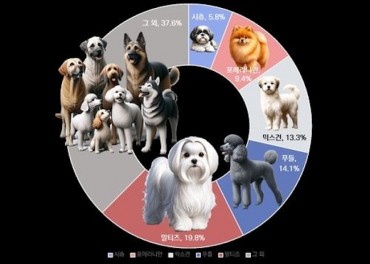 1 in 10 Seoul Households Has Pet Dog, Maltese Most Common