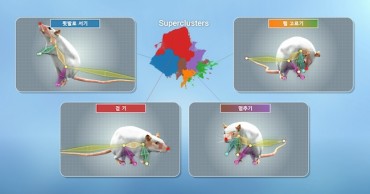 South Korean Scientists Develop AI Tool to Analyze Animal Behavior