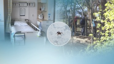 Rise in Temperatures Triggers 38% Increase in Disease-Carrying Ticks in South Korea