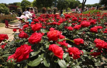 Seoul Grand Park Readies for Annual Rose Garden Festival Extravaganza