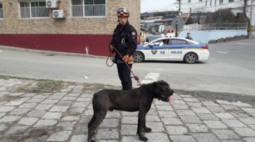 District Office Mistakenly Warns of 70 Fierce Dogs Breaking Loose in Daejeon