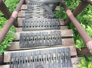 South Korea to Remove Tire Mats from National Park Trails by 2025