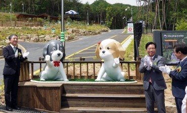 South Korea Opens Its First National Forest Campground for Dogs and Their Owners