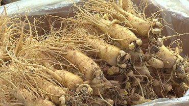 South Korea and U.S. Reach Agreement on Fresh Ginseng Exports and Texas Grapefruit Imports