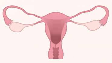 Novotech Publishes Report on Research into Endometrial Cancer, a Leading Cause of Gynecology Malignancy Mortality