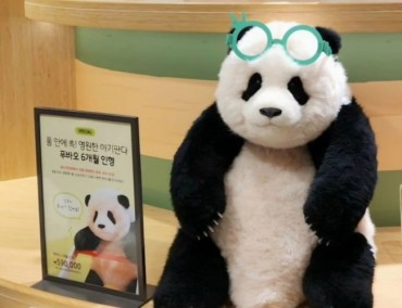 Everland’s Pricy Fu Bao Panda Plush Sparks Debate Among South Korean Netizens