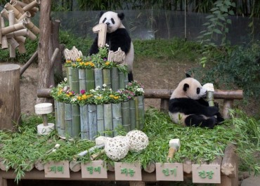 Twin Pandas Celebrate First Birthday at South Korean Theme Park