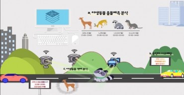 South Korea Launches AI-Powered System to Prevent Wildlife Road Accidents