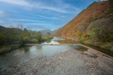 Proposed Dam Sparks Outrage in South Korean Town, Reviving Old Wounds