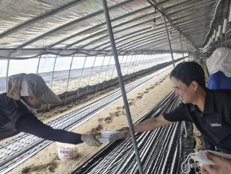 Heatwave Raises Concerns for Foreign Workers in South Korean Industrial Towns