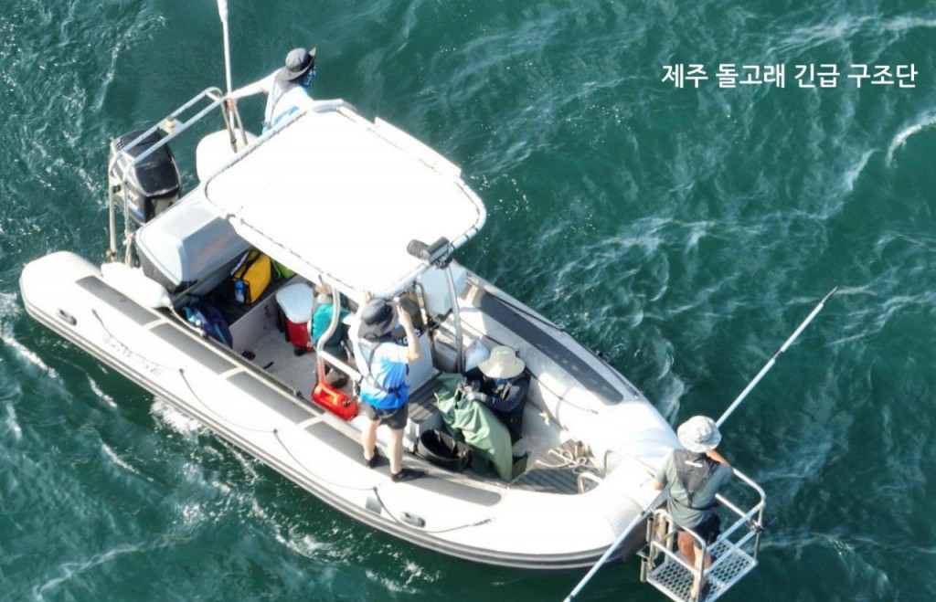 Jeju Dolphin Rescue Team (Hot Pink Dolphins) removing the fishing line from Jongdal's body (Image courtesy of Hot Pink Dolphins)