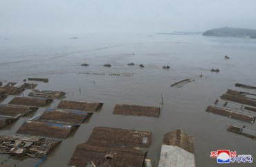 Severe Floods in N. Korea Could Cut Its 2024 Crop Output: FAO