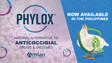 Phylox®, a Natural Solution for Coccidiosis, Now Available in the Philippines