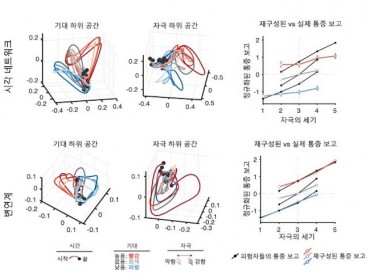 South Korean Scientists Unravel Brain’s Pain Processing Mechanism