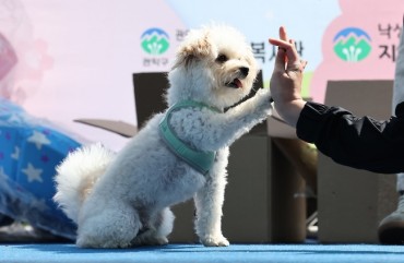 Seoul Expands Pet Care Services for Single-Person Households