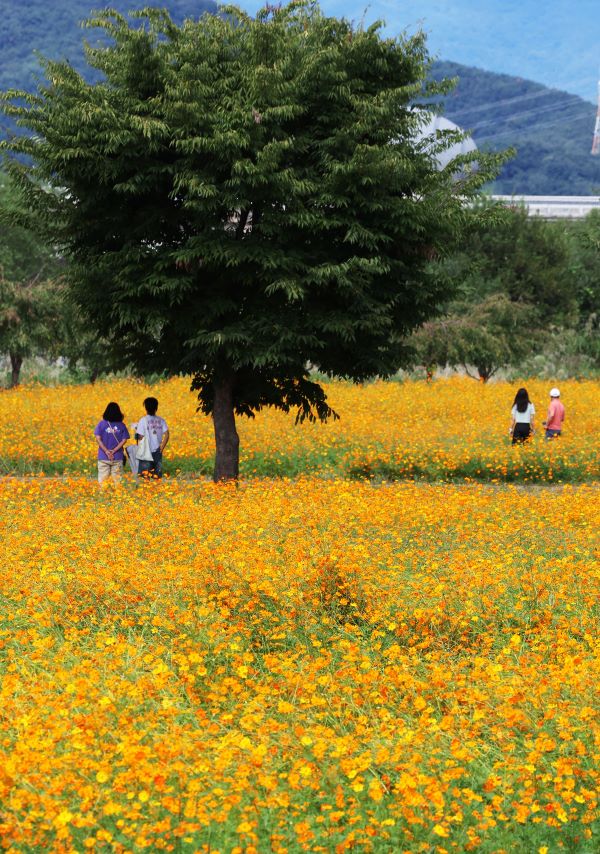 Late Summer Heat Wave Breaks as Autumn Approaches