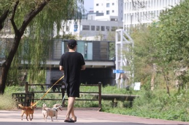 Seoul to Allow Dogs on Popular Stream Path in Trial Program