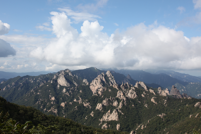 South Korean National Park Combats Unauthorized Trails to Protect Wildlife