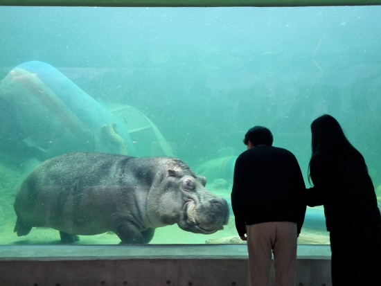 Aramaru Aquarium to Become South Korea’s Third Largest, Boosting Sacheon’s Tourism Appeal