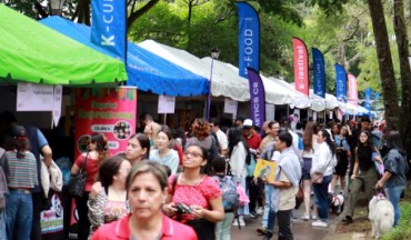 Korean Cuisine Festival Draws Thousands in Costa Rica, Showcasing Culture and Culinary Delights