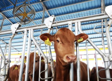 South Korea to Reduce Greenhouse Gas Emissions by 1.6 Million Tons Annually through Cattle Waste Recycling