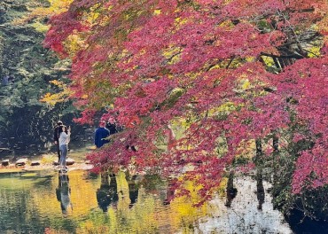 South Korea’s Autumn Colors Arrive Late Amid Prolonged Summer Heat