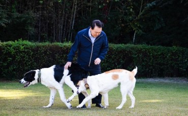 Presidential Gift Dogs Relocated to Seoul Grand Park After Outgrowing Presidential Residence