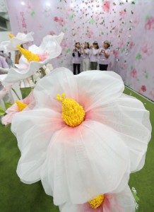 Mugunghwa (Korean rose of Sharon) 