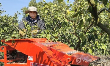 Vietnamese Workers in South Korea Earn Highest Wages Among Overseas Laborers