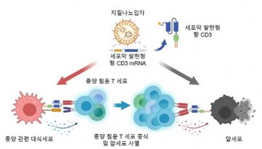 KAIST Scientists Develop Novel mRNA Treatment That Mimics Cancer Cell Therapy