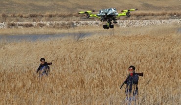 Gimhae Airport Records Highest Number of Bird Strikes Among Airports Near Migratory Bird Habitats