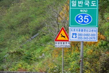 South Korea Expands Wildlife Protection Measures to Curb Roadkill