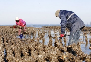 S. Korea Eyes to Become Top Oyster Exporter by 2030: Oceans Ministry