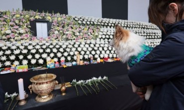 Dog Visits Memorial for Family Lost in South Korea Aviation Tragedy