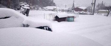 Heavy Snow and Cold Snap Grip South Korea, Disrupting Travel and Closing Parks