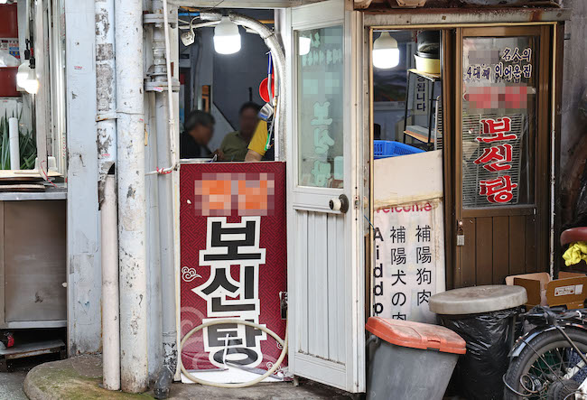 4 in 10 Dog Farms in S. Korea Close Business Following Legislation Banning Dog Meat Consumption