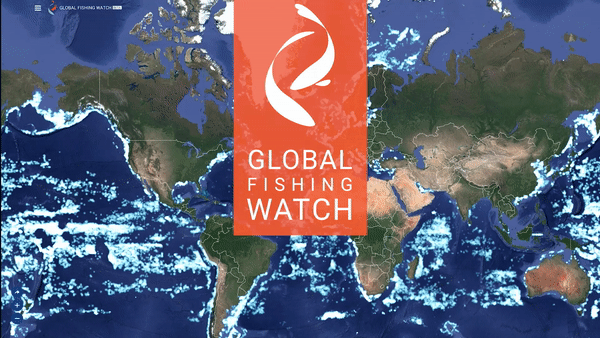 Global Fishing Watch is an international nonprofit organization dedicated to advancing ocean governance through increased transparency of human activity at sea. (Image courtesy of Global Fishing Watch)