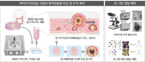 Patient-specific artificial cancer tissue bioprinting and AI-based patient prognosis prediction. (Image courtesy of Ulsan National Institute of Science and Technology.)