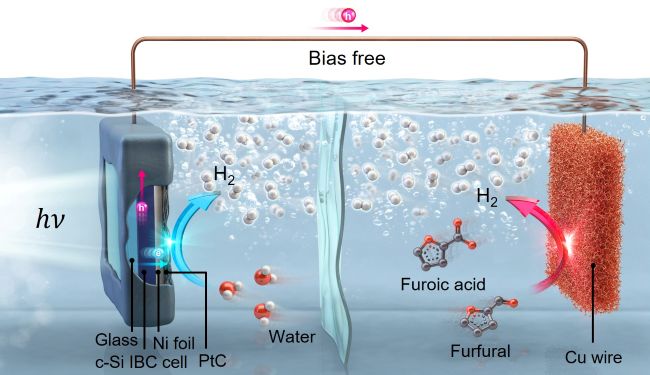 UNIST Researchers Develop Solar-Powered Hydrogen Production System Using Sugarcane Waste