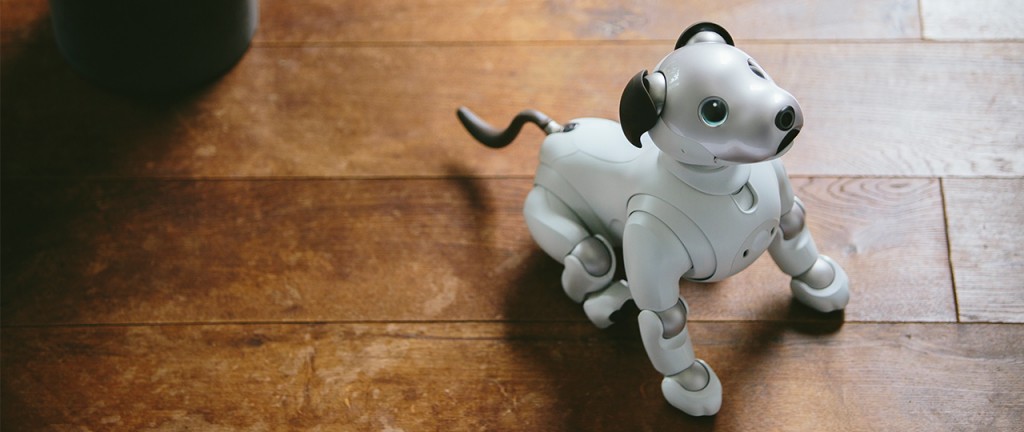 Sony's Aibo Robot Dog (Image courtesy of Aibo)