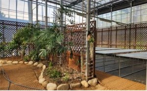 Inpatient Ward at Seoul City's Companion Plant Hospital (Photo courtesy of Seoul Metropolitan Government)