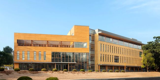 Forest of Genetic Resource Department in Suwon, Korea. (Image from Accoya webpage)