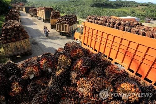 GS Caltex Mulls Palm Oil Waste Recycling Business in Indonesia