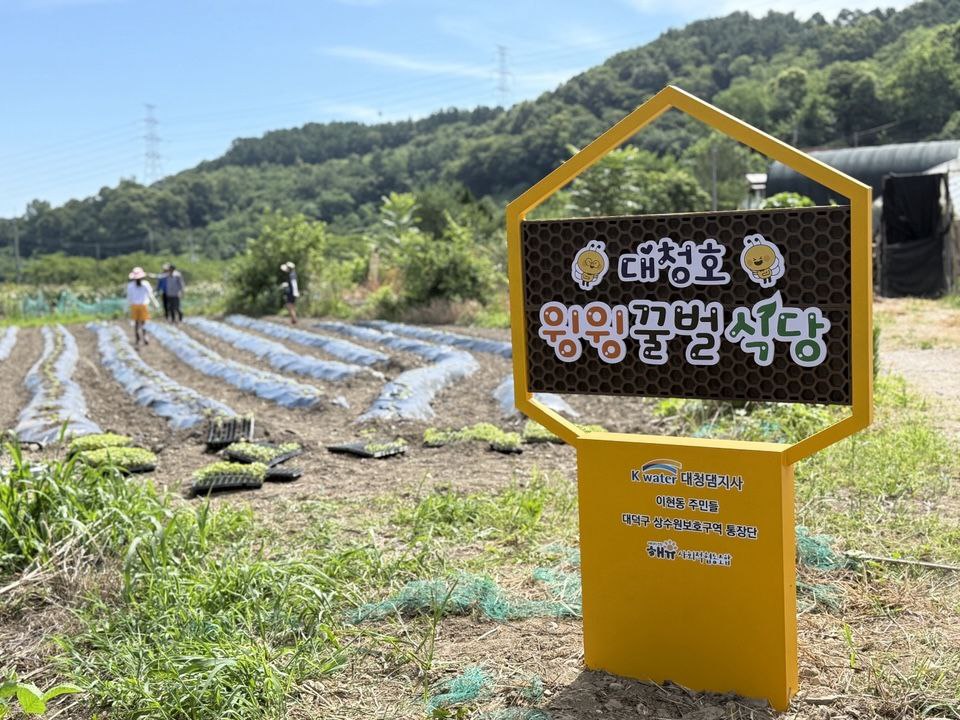 Wishing for the return of honeybees, the Daecheongho “Buzzing Bee Restaurant” has opened. (Photo provided by Energy Transition Haeyou)