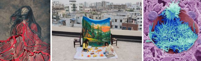 Wellcome Photography Prize 2025: Winning Images Reveal Powerful Stories of Science and Health Wellcome Photography Prize 2025: Winning Images Reveal Powerful Stories of Science and Health