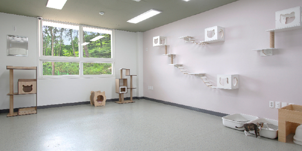 Controversy Surrounds Tongyeong’s Public Cat Protection Center Amid Criticism of Care Practices Controversy Surrounds Tongyeong’s Public Cat Protection Center Amid Criticism of Care Practices