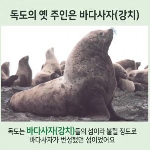 The extinct Dokdo sea lion, known as 'Kangchi', was once native to the waters around Dokdo Island. (Image courtesy of the Ministry of Oceans and Fisheries of Korea)